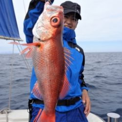 鯛紅丸 釣果