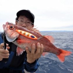 鯛紅丸 釣果