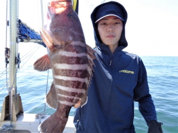 鯛紅丸 釣果