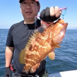 鯛紅丸 釣果