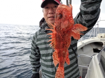 鯛紅丸 釣果