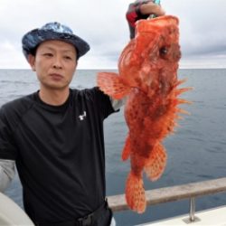 鯛紅丸 釣果