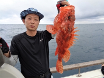 鯛紅丸 釣果