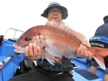 鯛紅丸 釣果