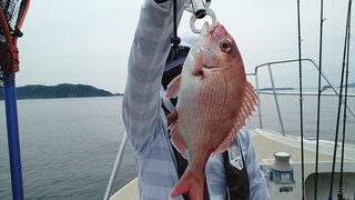 愛裕南丸 釣果