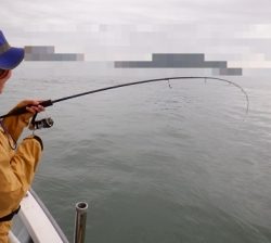 遊漁船 幸友丸 釣果