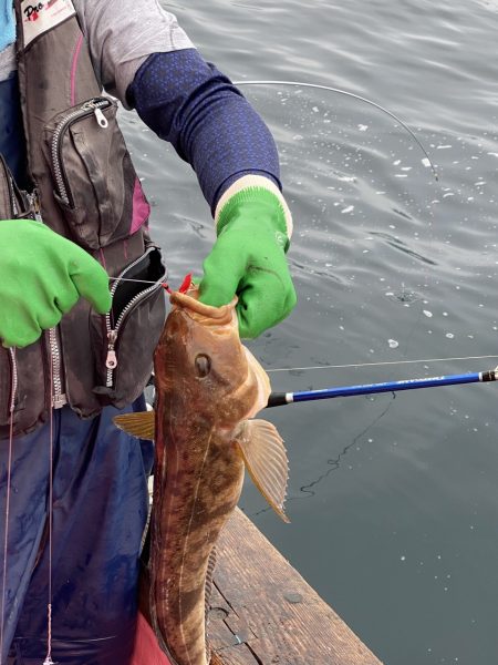 第八平成丸 釣果