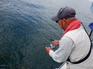 遊漁船 幸友丸 釣果