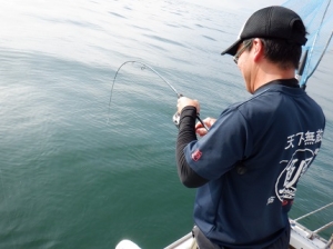 遊漁船 幸友丸 釣果