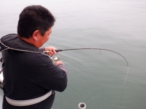 遊漁船 幸友丸 釣果