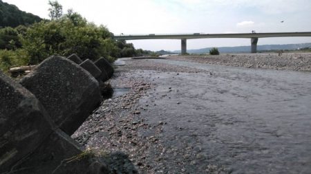 大井川（大井川(非)漁業協同組合） 釣果