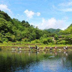 小菅トラウトガーデン 釣果