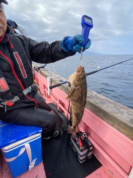 第八平成丸 釣果