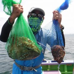 川崎丸 釣果