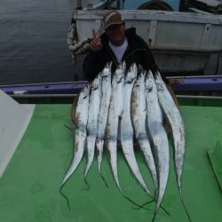 川崎丸 釣果