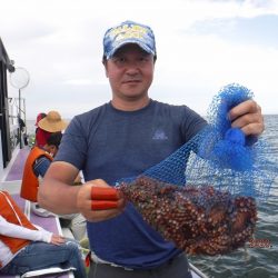 川崎丸 釣果