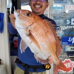 遊漁船　ニライカナイ 釣果