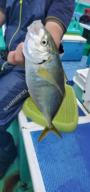 松栄丸 釣果