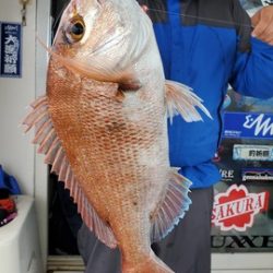 遊漁船　ニライカナイ 釣果