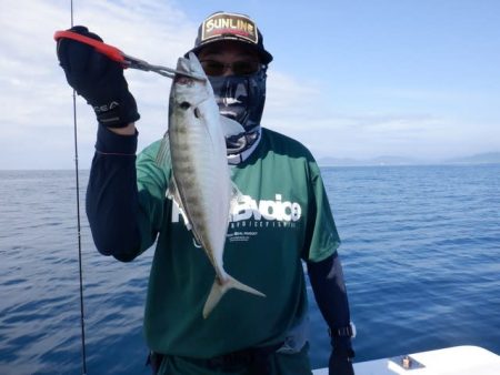 開進丸 釣果