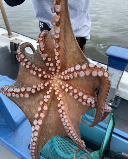 夢丸 釣果