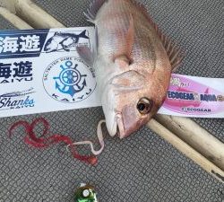 白墨丸 釣果