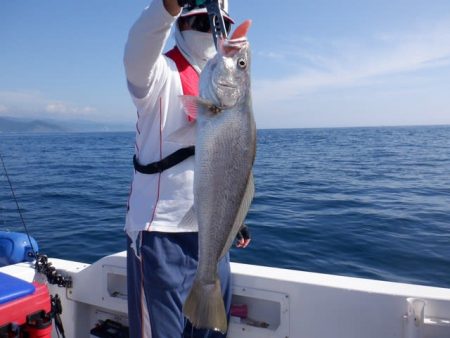 開進丸 釣果