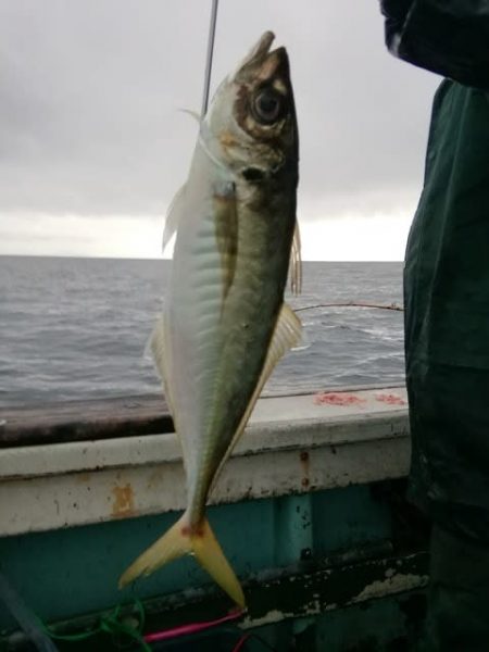 松福丸 釣果