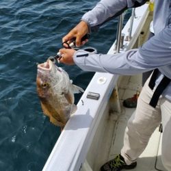 遊漁船　ニライカナイ 釣果