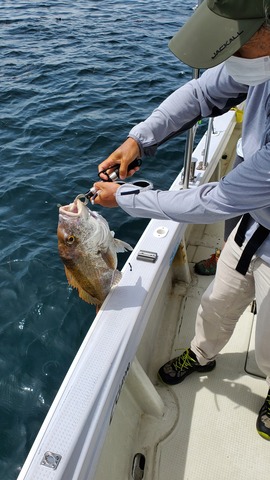 遊漁船　ニライカナイ 釣果