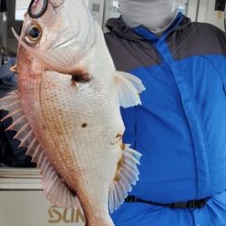 遊漁船　ニライカナイ 釣果