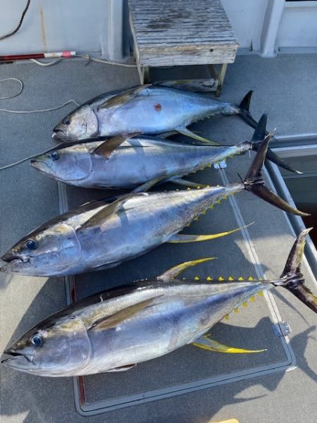 へいみつ丸 釣果