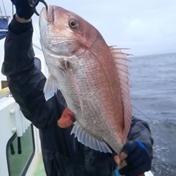 さわ浦丸 釣果