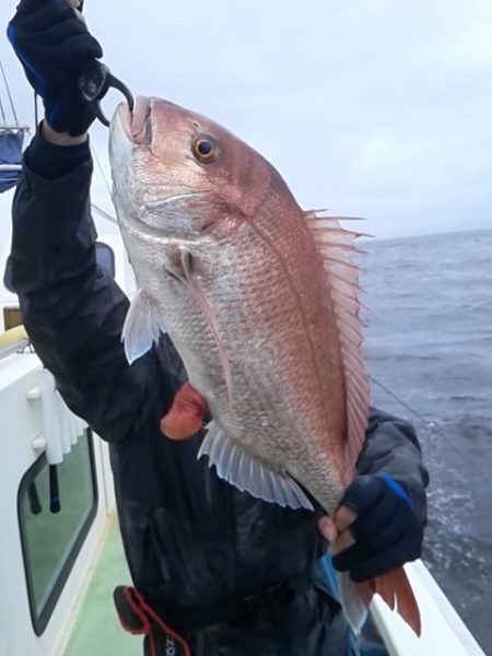 さわ浦丸 釣果