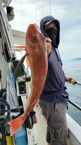 遊漁船　ニライカナイ 釣果