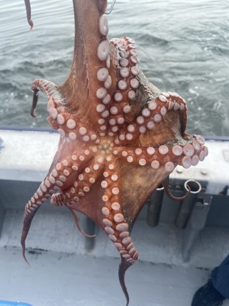 夢丸 釣果