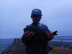 鹿島港魚釣園 釣果