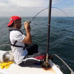 フィッシングボート空風（そらかぜ） 釣果