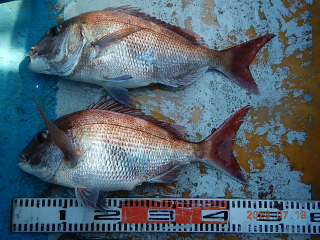 作十丸 釣果