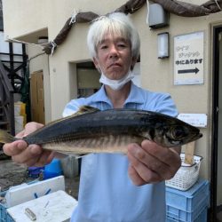 荒川屋 釣果