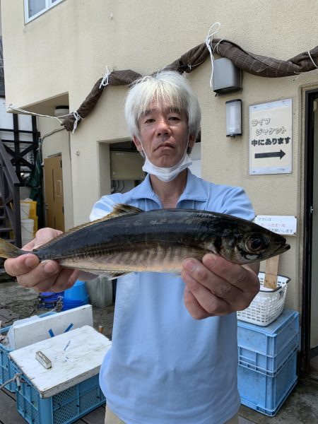 荒川屋 釣果