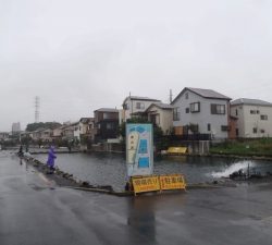 朝霞ガーデン 釣果