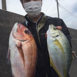 松栄丸 釣果