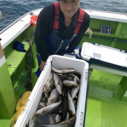 松栄丸 釣果