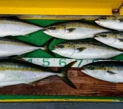 火遠理丸（ほおりまる） 釣果