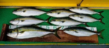 火遠理丸（ほおりまる） 釣果