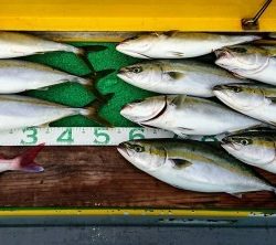 火遠理丸（ほおりまる） 釣果