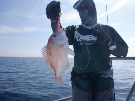 開進丸 釣果