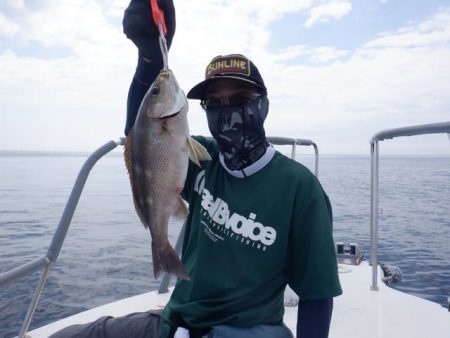 開進丸 釣果