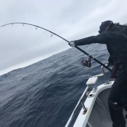 まると屋 釣果